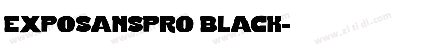 exposanspro black字体转换